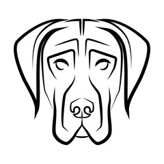 Black and white line art of Great Dane dog head. Good use for symbol, mascot, icon, avatar, tattoo, T Shirt design, logo or any design you want.