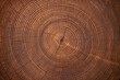 © dmitr1ch - wood texture of old stump. natural background of cut trunk with annual rings