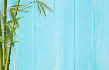 Bamboo leaves on blue wood background