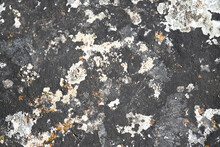 High Quality Stone And Rock Textures And Backgrounds. Sets Of Black, Gray, Blue And Yellow Colors. Rusty Textures.
