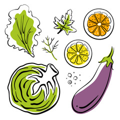 Wall Mural - Colorful line sketch collection of vegetables, herbs, fruits isolated on white background. Doodle hand drawn fruits and vegetables. Vector illustration