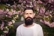 © endrews21 - A brutal stylish man with a long dark beard and mustache in a white T-shirt near blooming sakura trees in a park in nature. Adult guy with gray hair and dyed hair
