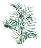 Fototapeta  - Watercolor tropical leaves bouquet illustration