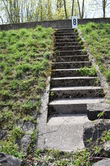 Poster - Treppe zum Rhein