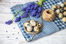Spring Decorative Composition. Miniature Grape Hyacinth Flowers And Quail Eggs. Easter Decoration