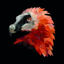 Condor, Vulture Bird. Animal Wild. Low Poly. Vector Geometric