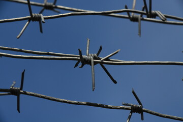 barbed wire on blue sky background