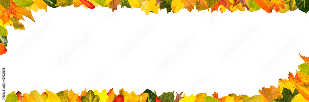 Buntes Herbst Laub als Rahmen für Header Banner - obrazy, fototapety, plakaty 