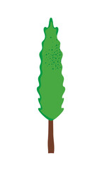 Sticker - green tall tree