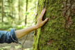 Leinwandbild Motiv Girl hand touches a tree with moss in the wild forest. Forest ecology. Wild nature, wild life. Earth Day. Traveler girl in a beautiful green forest. Conservation, ecology, environment concept