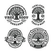bundles of tree root logo badge with circle shape in vintage design