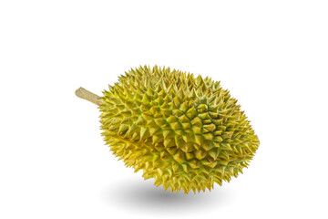 Wall Mural - Monthong Durian