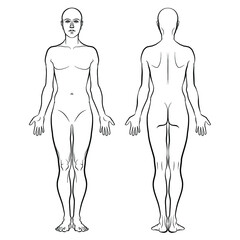 Model of the human body. Hand drawn gender-neutral figure on isolated background, front and back views, outline variant. Flat vector, EPS 8.