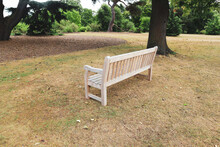 Kew Gardens Royal Park With Empty Bench Under The Tree