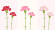 Set red, pink, light carnation flowers with green leaves vector illustration linocut style