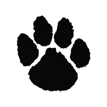 Black And White Paw Vector