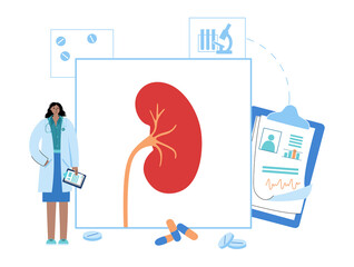 Wall Mural - Kidney disease concept