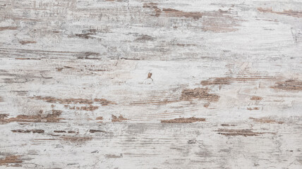 Wall Mural - Natural wooden parquet white used plank wood texture floor background