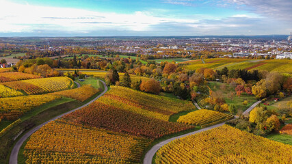 Poster - Aerial view of the golden fields of Bradgate Park in the Uk in autumn