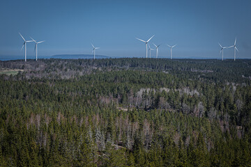 wind turbines in the field