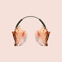 Contemporary Art Collage, Modern Design. Summer Mood. Headphones Made Of Shells On Pastel Brown