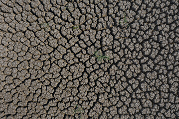 Sticker - Drought deep cracked earth surface lit by the sun