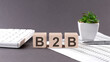 © Iryna - Concept word B2B on the wooden blocks on gray background from green flower and chart.