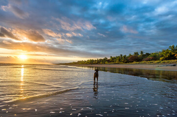 Wall Mural - Beautiful sunset sky with along black dog on the beach in Matapalo, Costa Rica. Central America. Sky background on sunset. Tropical sea.