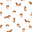 Cavalier King Charles spaniel seamless pattern.  Different poses, coat colors set.