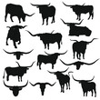 Longhorn Illustration Clip Art Design American Cattle. Collection Silhouettes Icon Farm Animal.