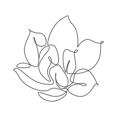Poster - Flower in one line art style. Magnolia blossom in Continuous drawing can used for icon, wall art prints, posters, magazine, postcard, emblem, logo. Modern Vector illustration