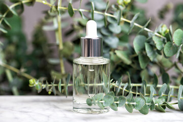 Poster - Glass bottle of essence or serum with natural eucalyptus leaves