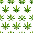 © EvgeniyBobrov - A lot of green realistic marijuana leafs, medical cannabis detailed icons on the white, seamless pattern