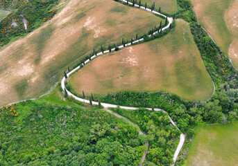 Wall Mural - Aerial view of Monticchiello zigzag cypress road from drone in Tuscany, spring season