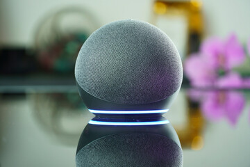 Smart speaker and a virtual assistant. It is used to keep the home connected and give orders by voice to other electronic devices. Modern technology