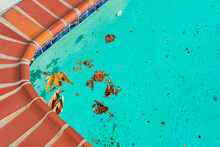 Fall Leaves And Debris Floating On The Surface Of Outdoor Swimming Pool Water