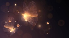 Two Golden Glowing Butterflies With Circuit Wings On A Dark Background	