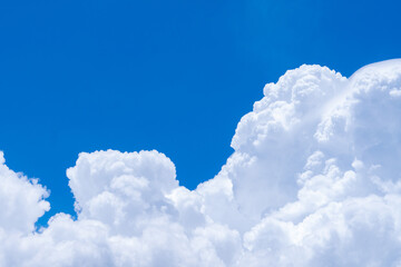 Wall Mural - white fluffy clouds on blue sky. soft touch feeling like cotton. white puffy cloudscape with space f