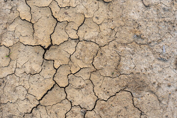 Brown dry soil or desert cracked ground texture background,land arid earth warming.