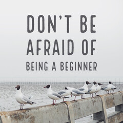 Inspirational and motivation quote with Seagull birds on the bridge by the sea background.