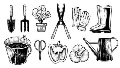 Sketch vector set of gardening tools. Trowel, Fork, Plant pot, Hedge shears, Gloves, Boots, Bucket, Scissor, Bell pepper, and Watering can Hand drawn illustration