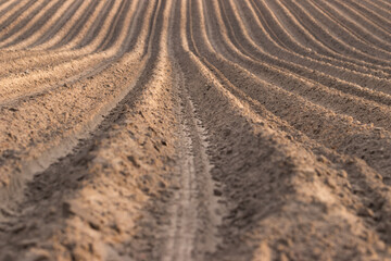 plowed field in spring