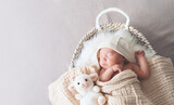 Sleeping newborn baby in basket wrapped in blanket in white fur background. Portrait of little child one week old with soft toys.