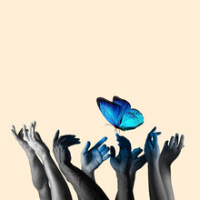 Contemporary Art Collage, Modern Design. Retro Style. Human Hands Catching Beautiful Blue Butterfly On Pastel Yellow Background