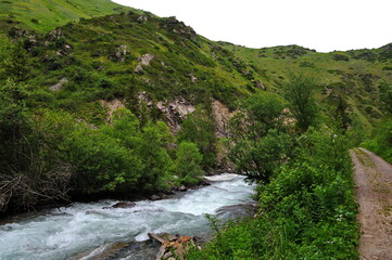 The Turgen River, which flows along the territory in a mountainous area near Almaty