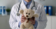 © nimito - Cropped shot of doctor with stethoscope holding teddy bear in medical office