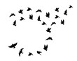 Flying birds silhouettes isolated on white background, vector. Birds illustration. Wall art, artwork, poster design. Freedom concept