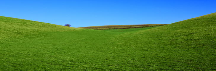 Wall Mural - spring landscape background with blue sky and green grass field.