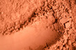 Red terracotta bentonite clay powder. Natural beauty treatment and spa. Clay texture macro, selective focus. Abstract background.