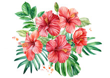 Tropical Palm Leaves, Hibiscus Flowers And Ibis Birds On An Isolated Background. Watercolor Illustration, Postcard